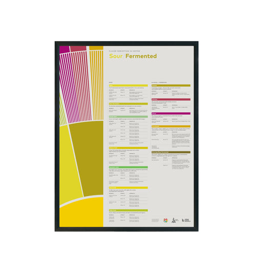Flavor Perception in Coffee Poster – Sour Fermented- SCA