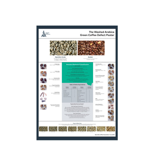 Arabica Poster - Engelska - SCA