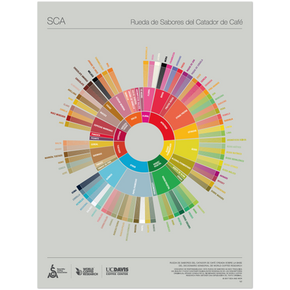 Spanska - The Coffee Taster's Flavour Wheel Poster -SCA