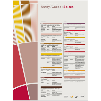 Flavor Perception in Coffee Poster – Nutty Cocoa Spices- SCA