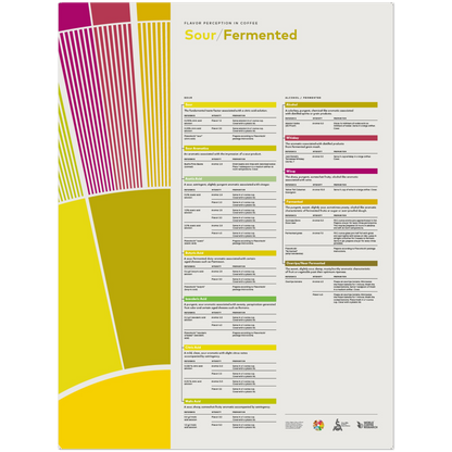 Flavor Perception in Coffee Poster – Sour Fermented- SCA