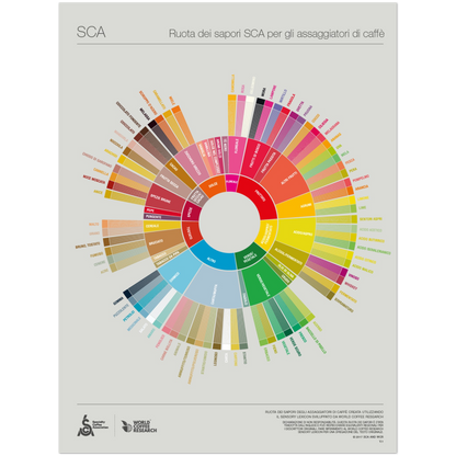 Italiensk - Coffee Taster's Flavour Wheel Poster - SCA