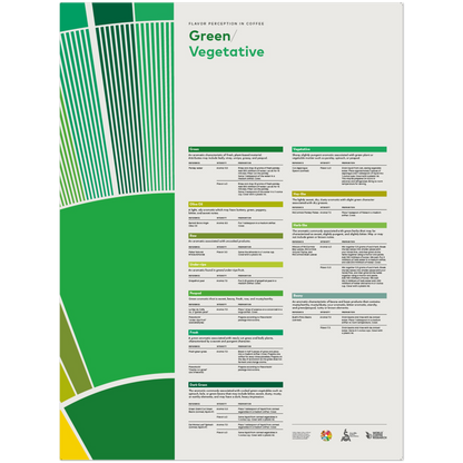 Smakuppfattning i kaffe – Green Veg -SCA