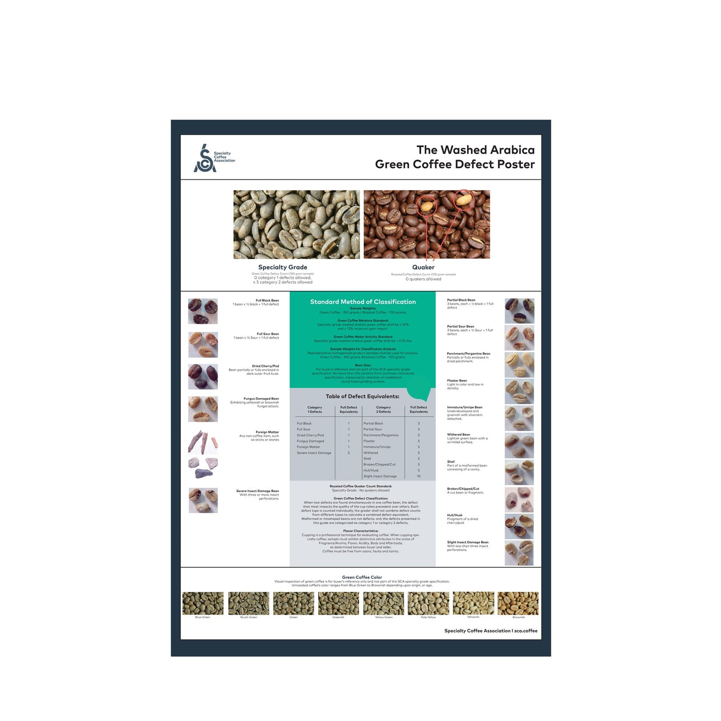 Arabica Poster - Engelska - SCA