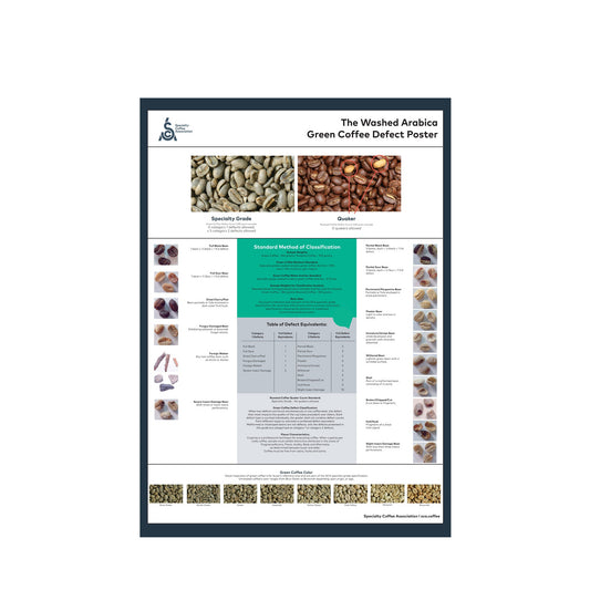 Arabica Poster - Engelska - SCA