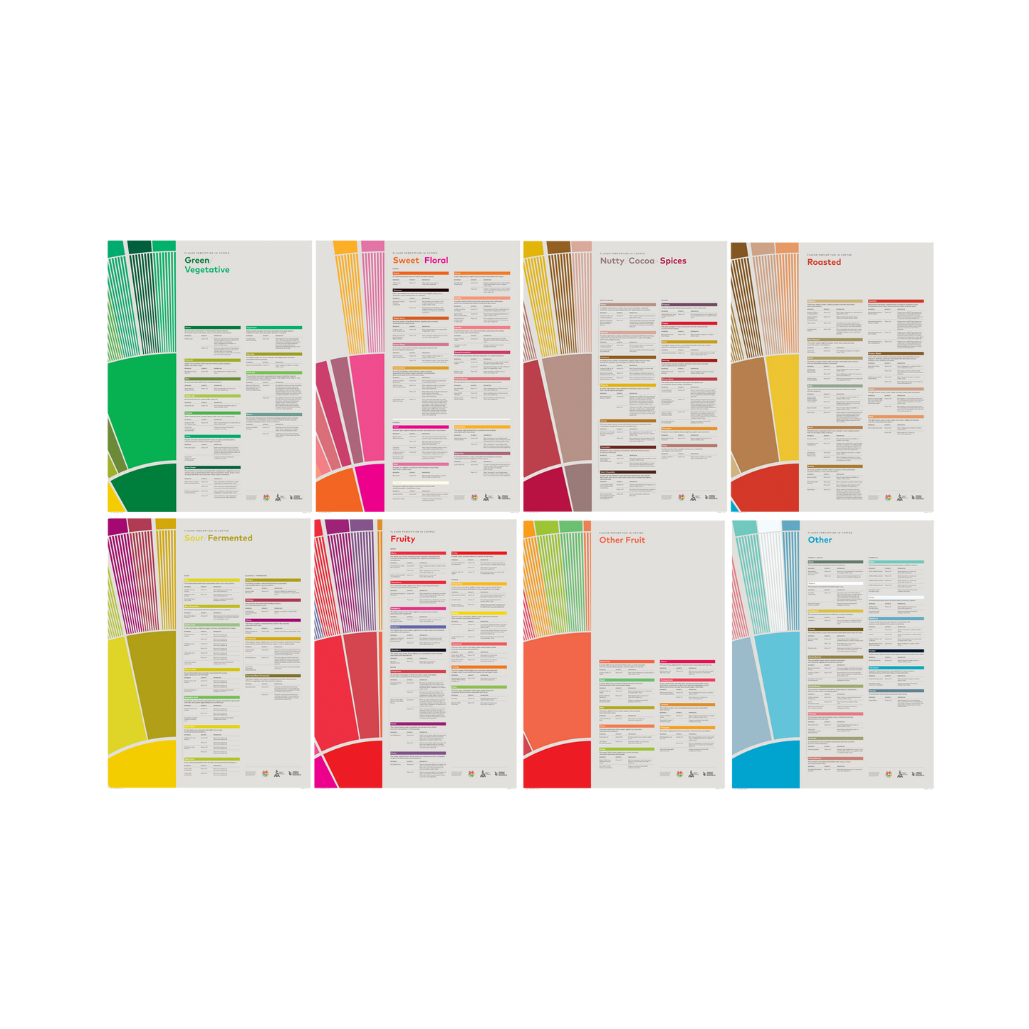 Smakuppfattning i kaffe – komplett set -SCA