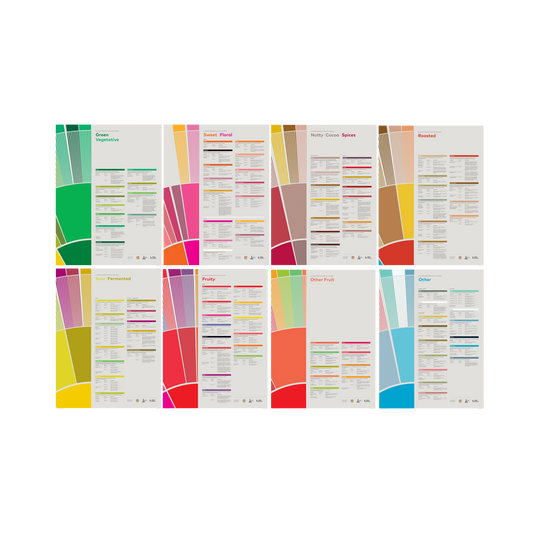 Smakuppfattning i kaffe – komplett set -SCA