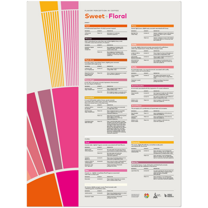 Flavor Perception in Coffee Poster - Sweet Floral - SCA