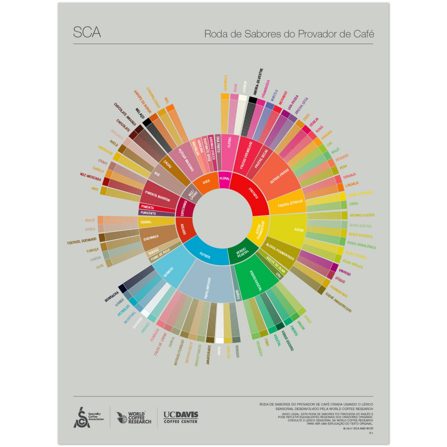 Portugisisk kaffeprovares smakhjulsaffisch -SCA