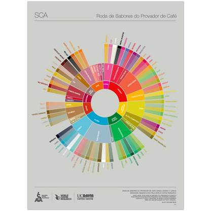 Portugisisk kaffeprovares smakhjulsaffisch -SCA